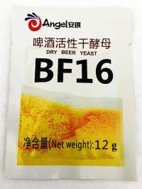   BF16 12 